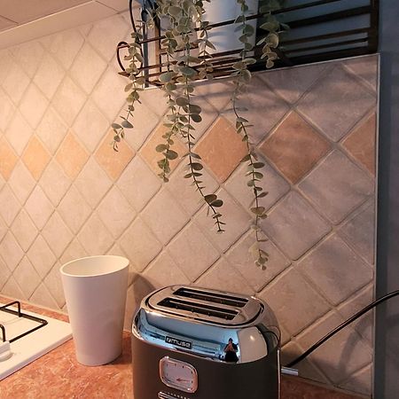 La Maison Aux Iris Pocé-sur-Cisse Exteriér fotografie