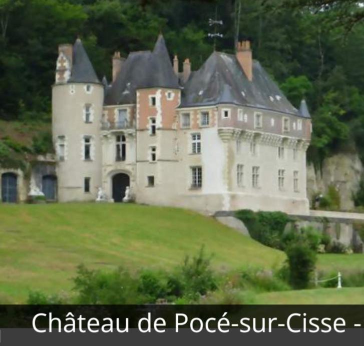 La Maison Aux Iris Pocé-sur-Cisse Exteriér fotografie