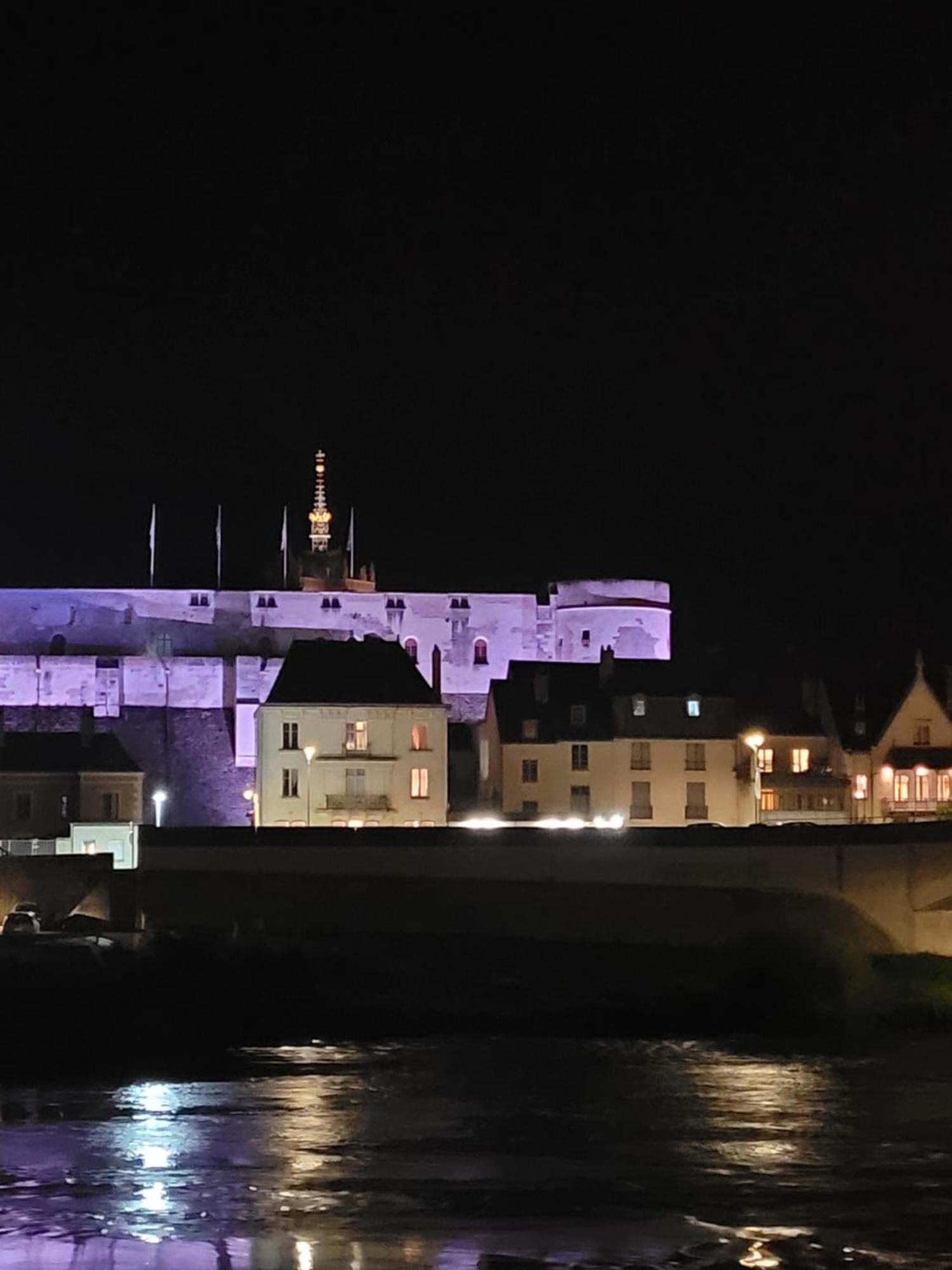 La Maison Aux Iris Pocé-sur-Cisse Exteriér fotografie
