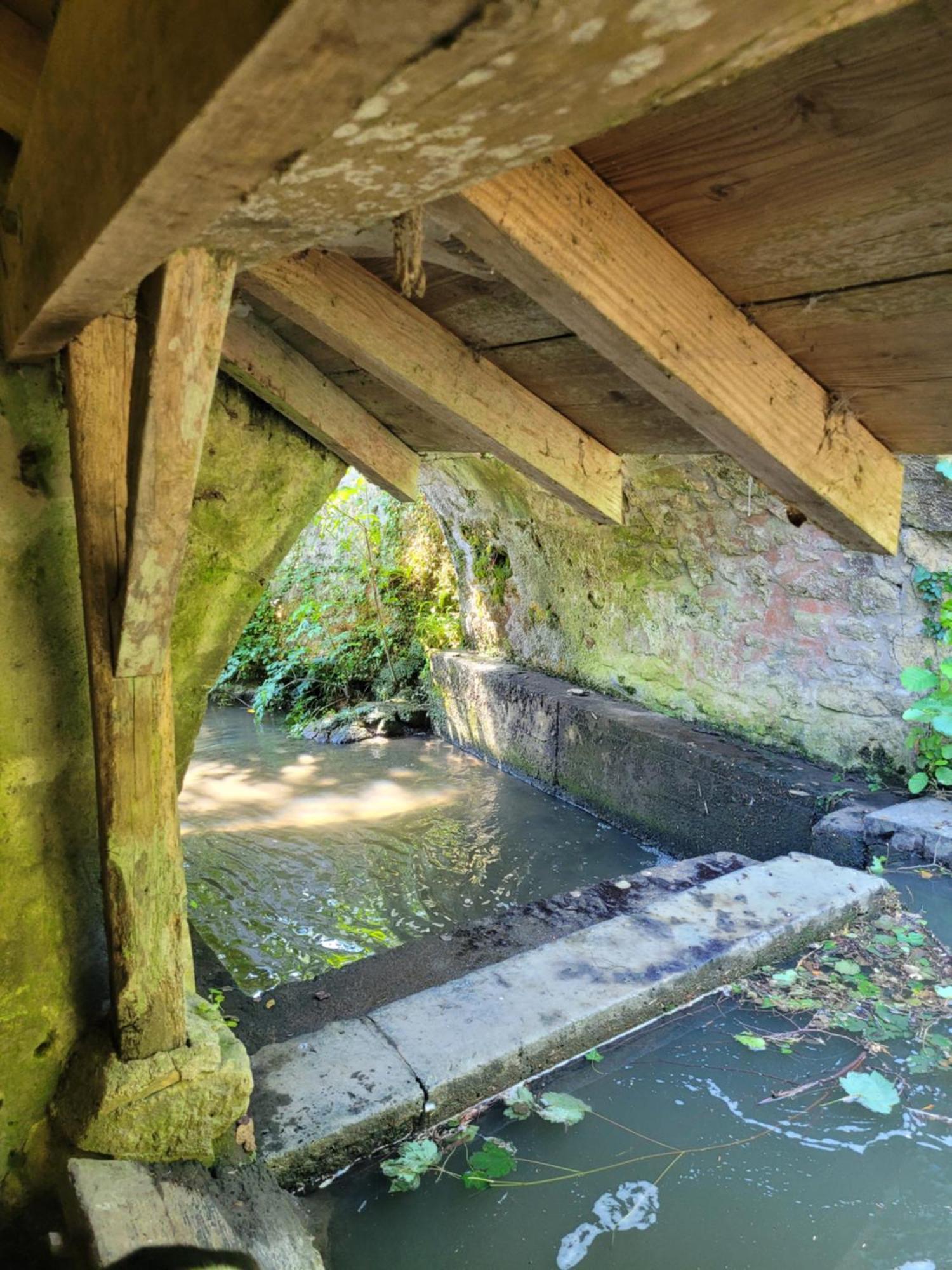 La Maison Aux Iris Pocé-sur-Cisse Exteriér fotografie