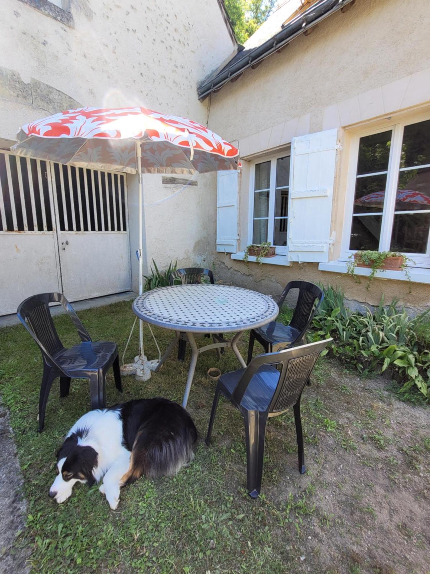 La Maison Aux Iris Pocé-sur-Cisse Exteriér fotografie