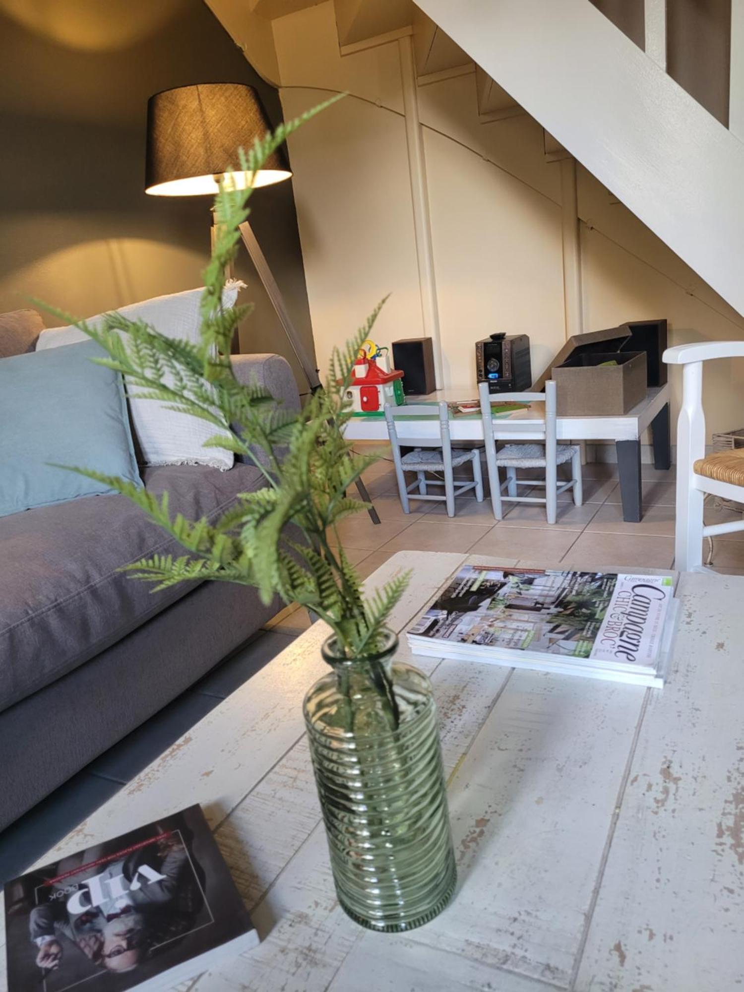 La Maison Aux Iris Pocé-sur-Cisse Exteriér fotografie