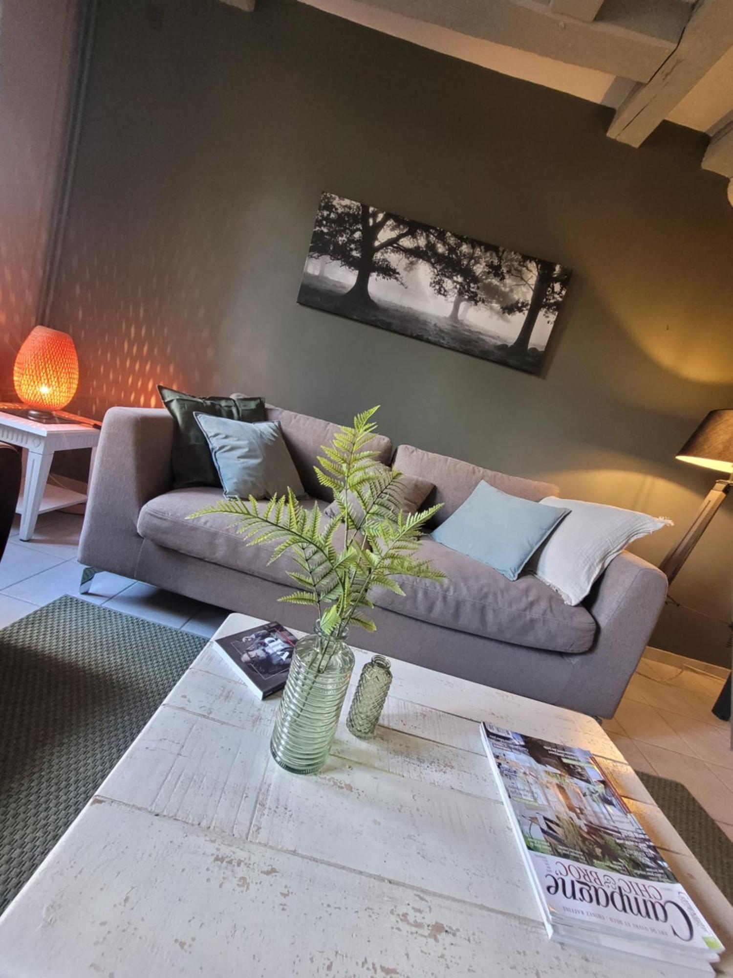 La Maison Aux Iris Pocé-sur-Cisse Exteriér fotografie